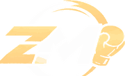 Zuhaib Martial Impex